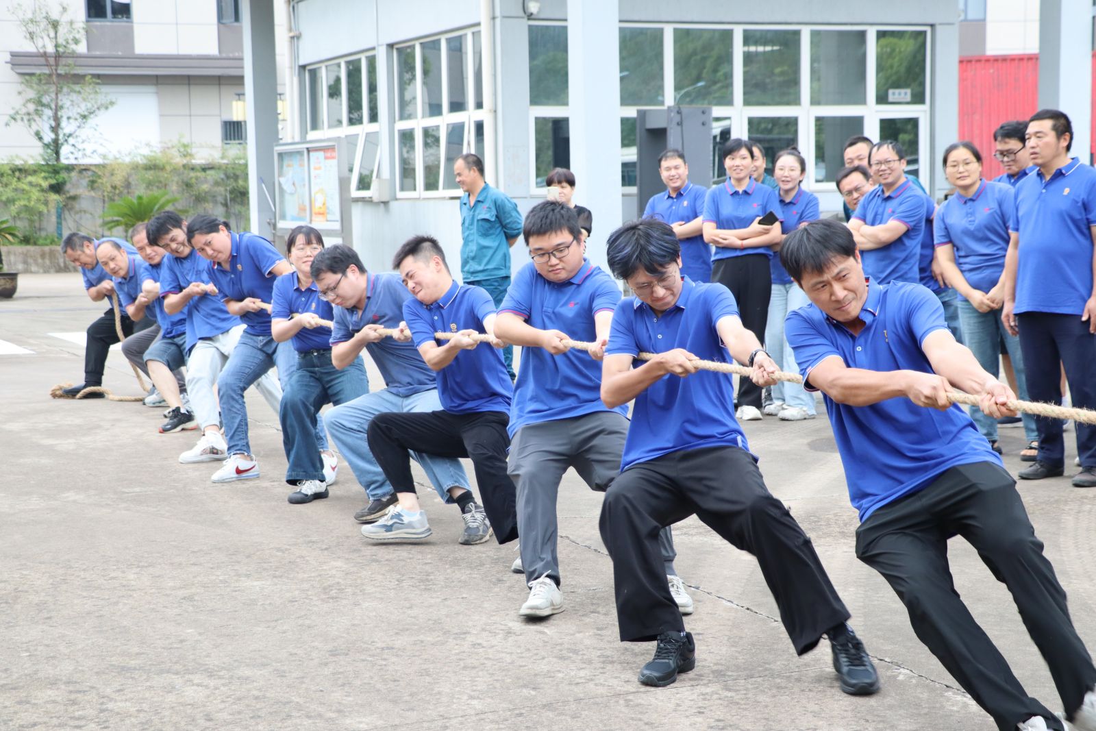 伟易博(中国区)官方网站