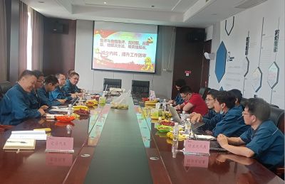 品评与自我品评 ，，，，，找问题、找差别、找解决要领，，，，，明责任强继续——记伟易博医药下属浙江伟易博药业党委民主生涯会